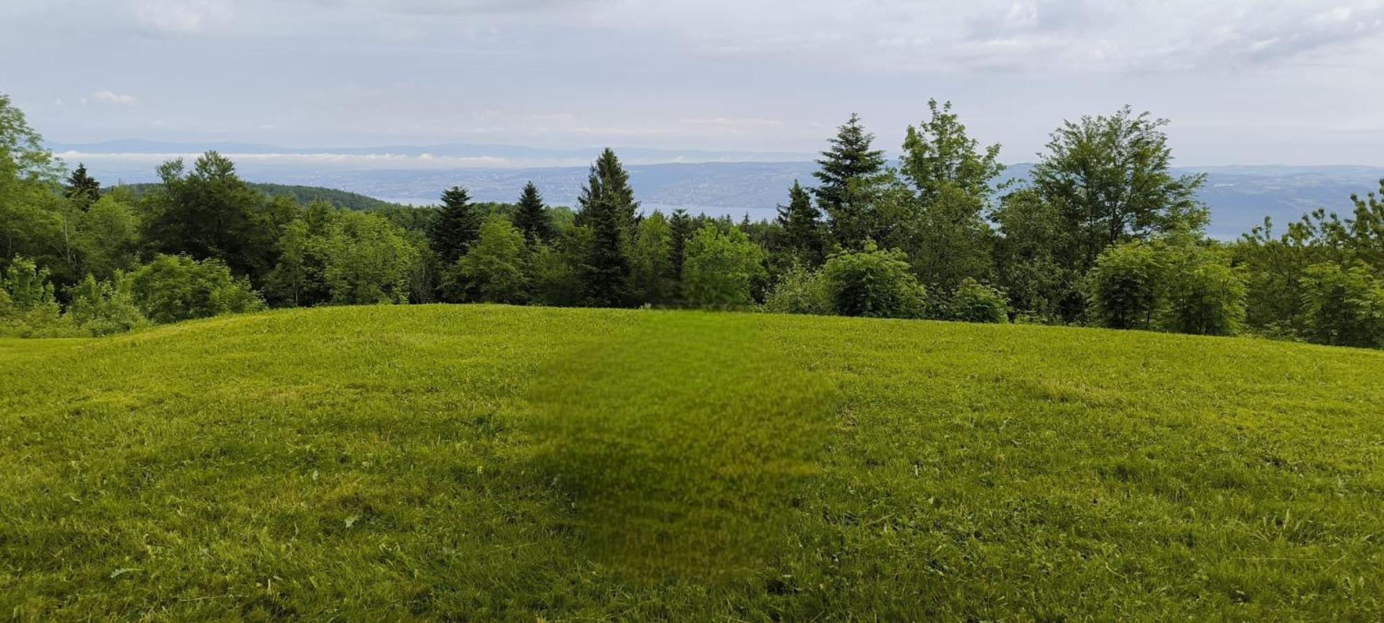 Apartamento Le Panoramic Thollon-les-Memises Exterior foto